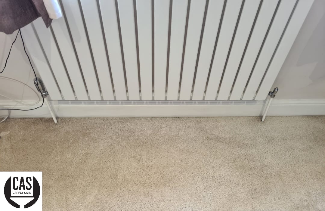 carpet cleaning services after picture
